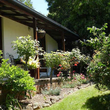 Wagners Cottages Swansea Exterior foto