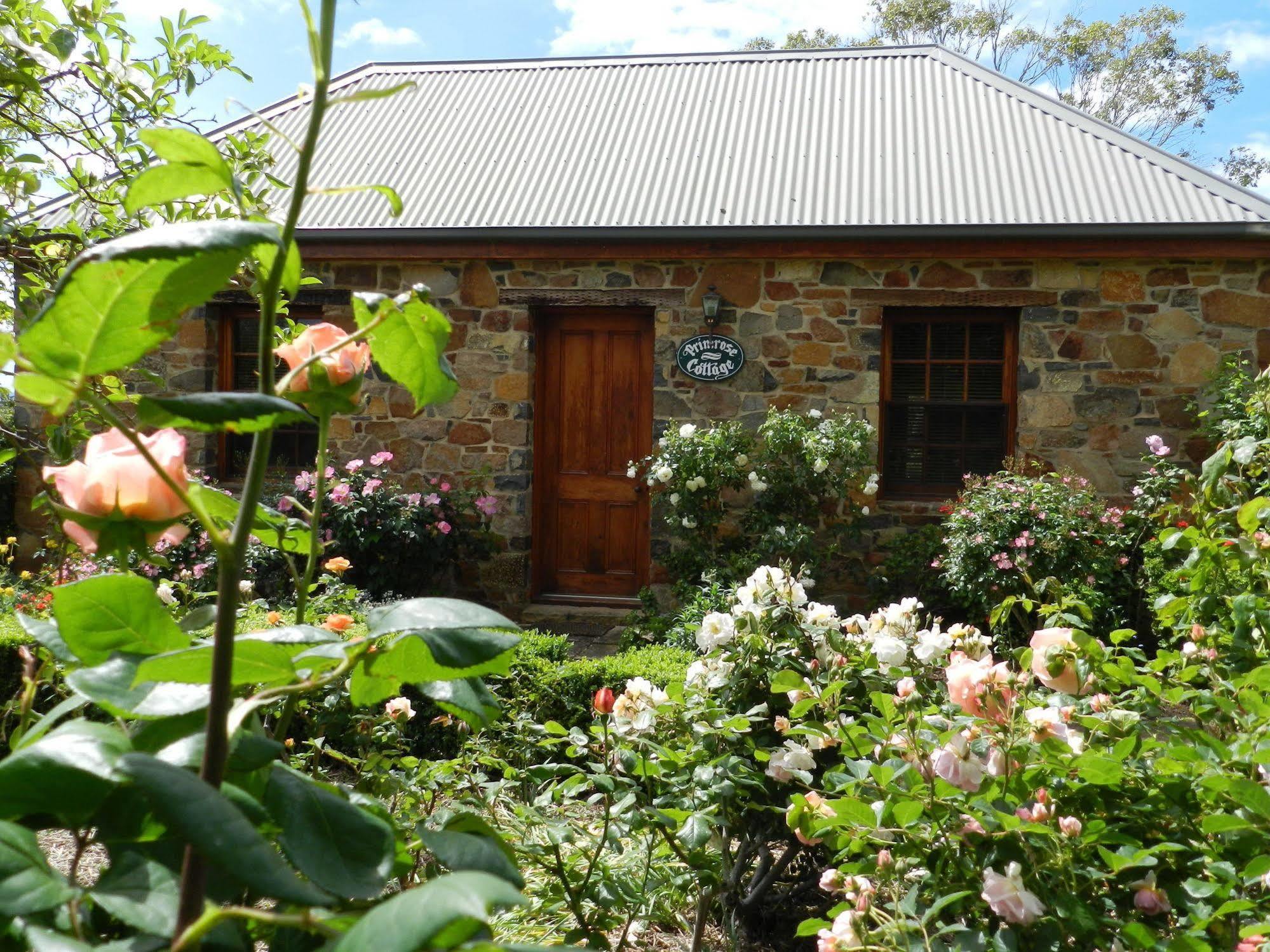 Wagners Cottages Swansea Exterior foto